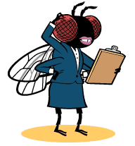 Illustration of a fly taking a quiz