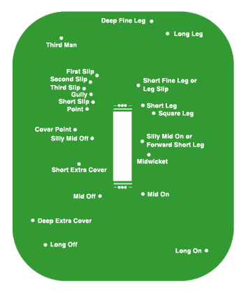 Diagram of cricket positions